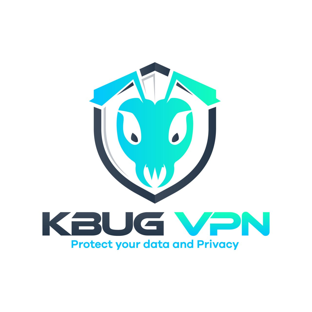 kbugvpn